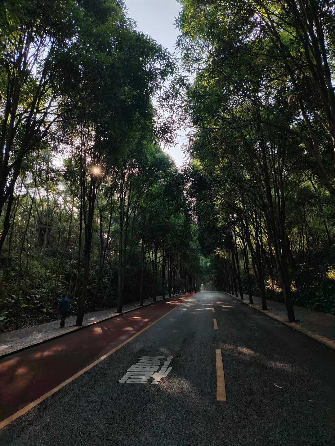 公园