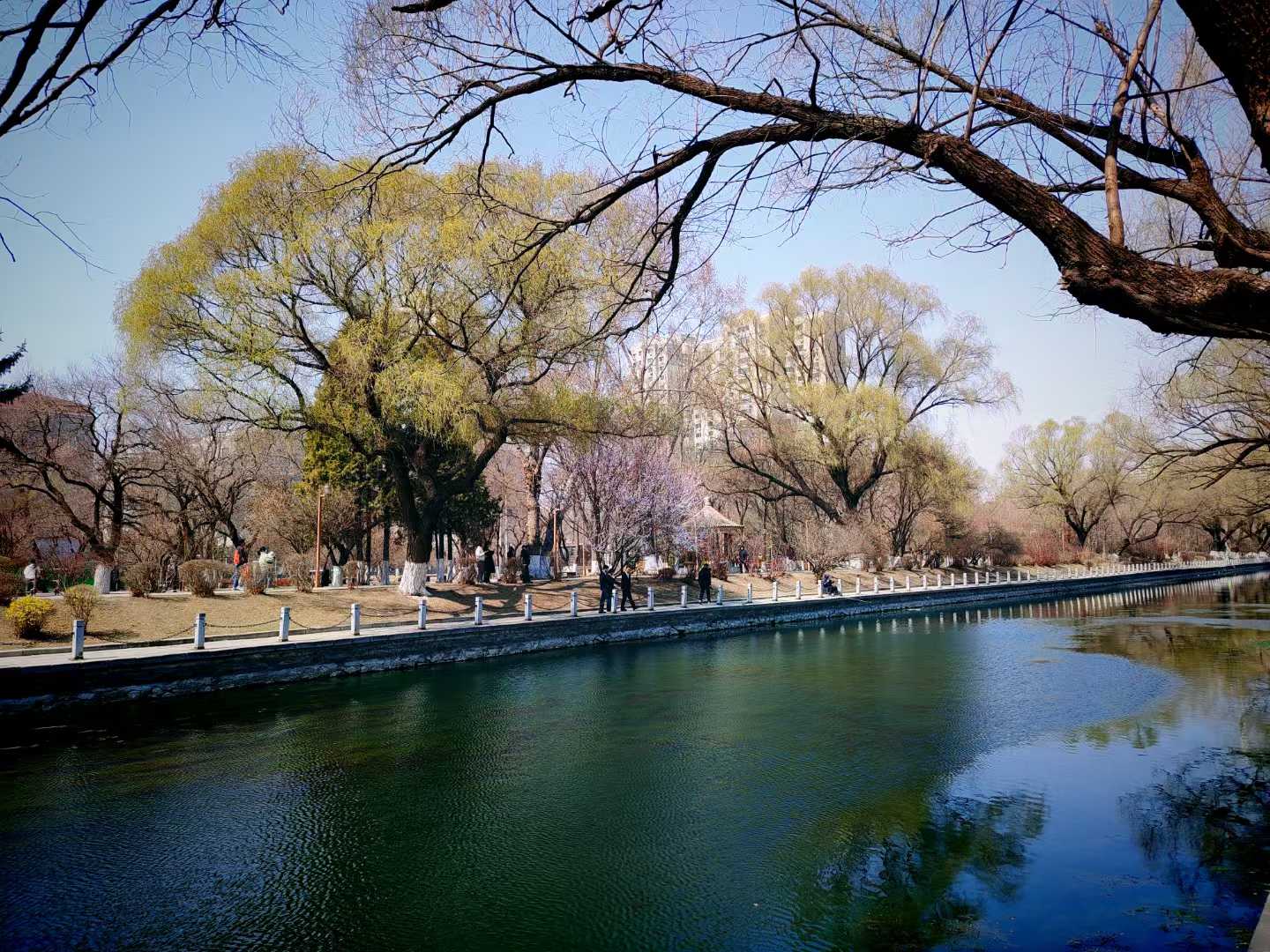 公园